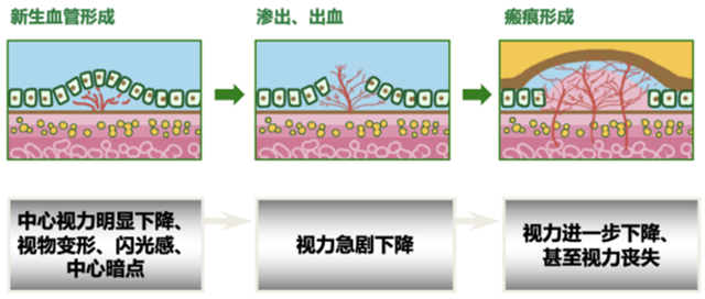 微信圖片_20240828090336.png
