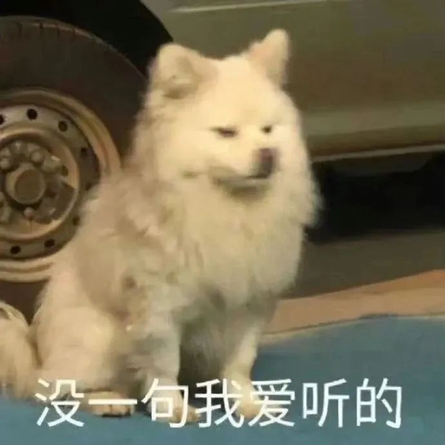 微信圖片_20240828092638.jpg