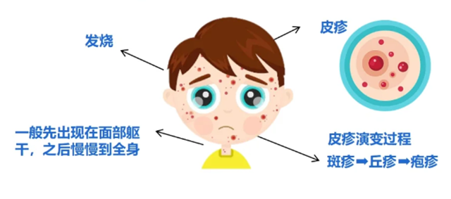 微信圖片_20240828092720.png