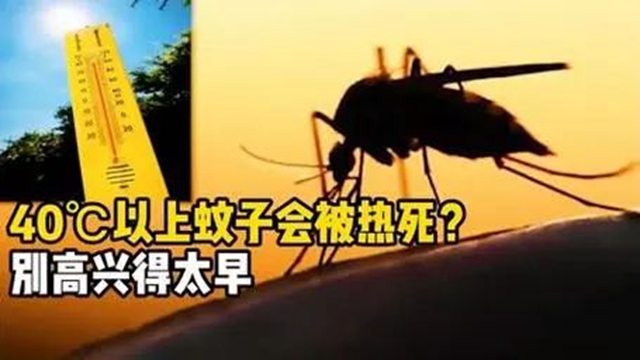微信圖片_20240829090615.jpg