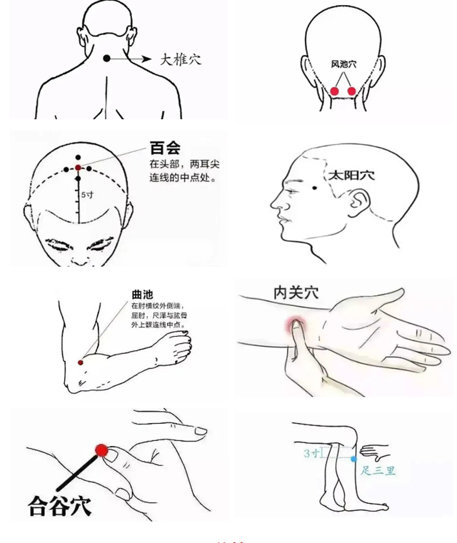微信圖片_20240830101403.png
