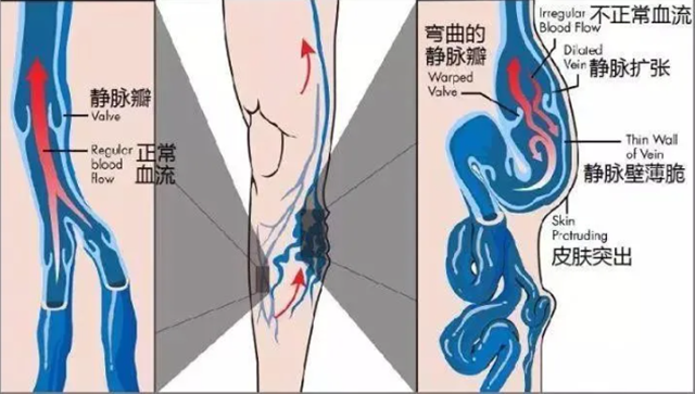 微信圖片_20240903090848.png