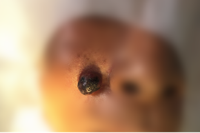 微信圖片_20240904093631.png