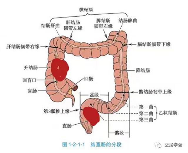 微信圖片_20240905092641.png