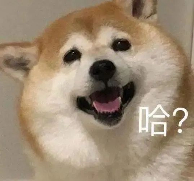 微信圖片_20240905094603.jpg