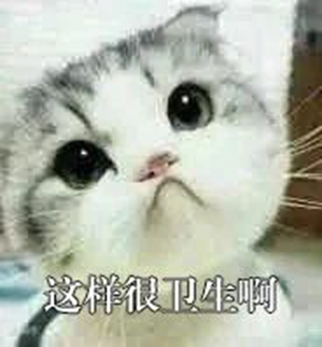 微信圖片_20240905094607.jpg