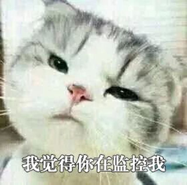 微信圖片_20240905094611.jpg