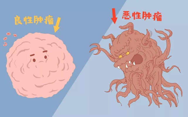 微信圖片_20240912090600.png