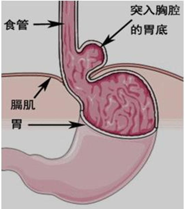 微信圖片_20240912085626.png