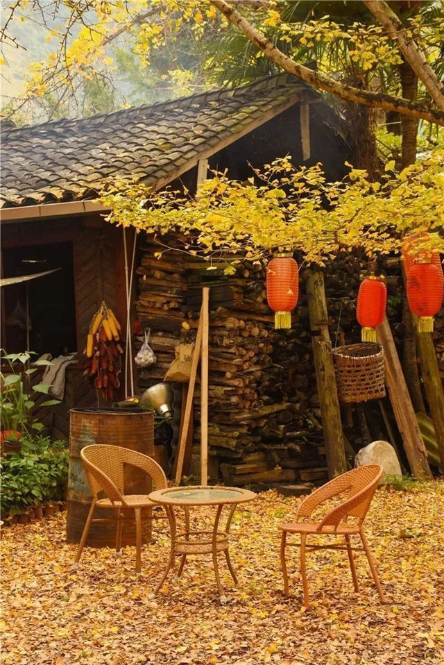 中秋養(yǎng)生要防“秋燥”