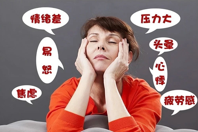 微信圖片_20241008085142.jpg