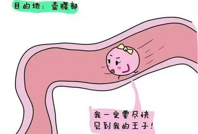 微信圖片_20241008085128.jpg