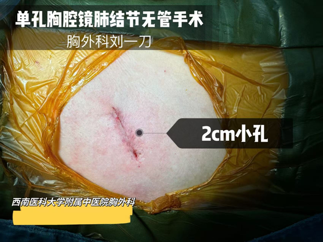 微信圖片_20241010090930.png