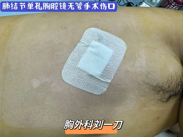 微信圖片_20241010090933.png