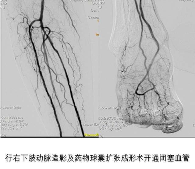 微信圖片_20241010085406.png