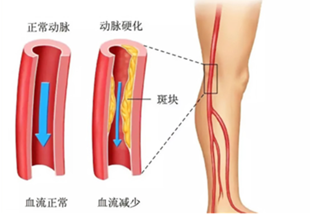 微信圖片_20241010085415.png