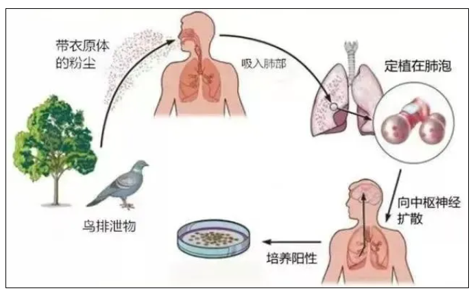 QQ瀏覽器截圖20241023101300.png
