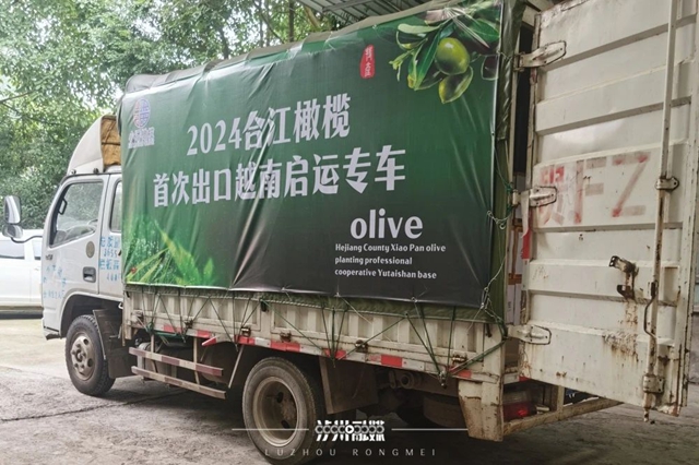 全省首批！5噸合江橄欖出口越南