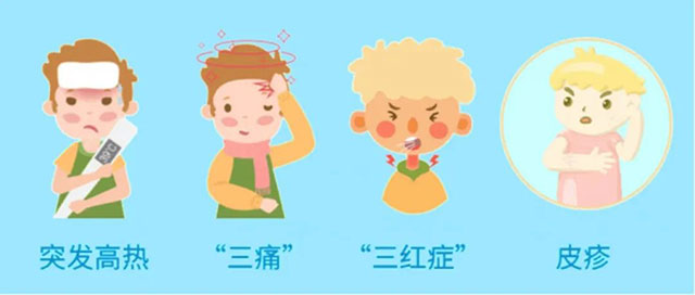 瀘州發(fā)現(xiàn)登革熱輸入病例，當務之急滅蚊！滅蚊！滅蚊！
