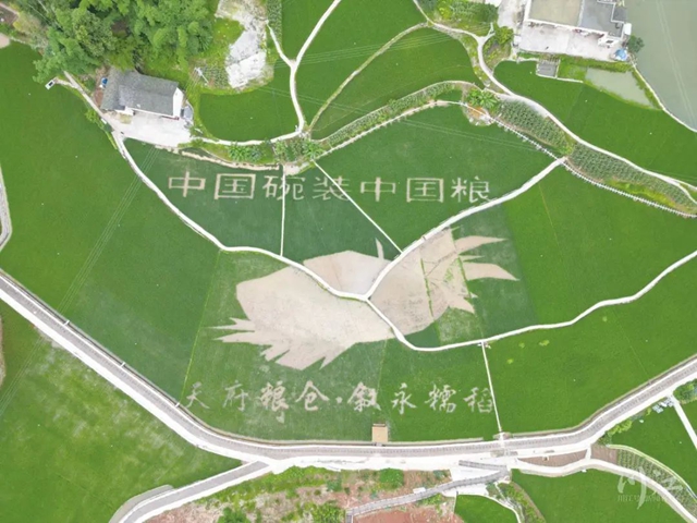 全國市州唯一入選案例！瀘州！