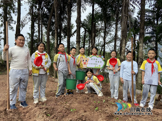 播種希望 收獲成長(zhǎng)｜瀘縣青龍小學(xué)校開(kāi)展勞動(dòng)實(shí)踐活動(dòng)