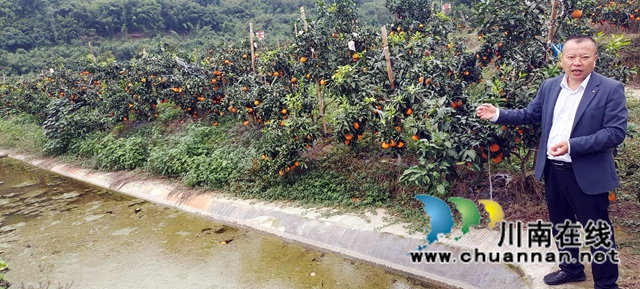 圖1：李強(qiáng)介紹果魚共生好處.jpg