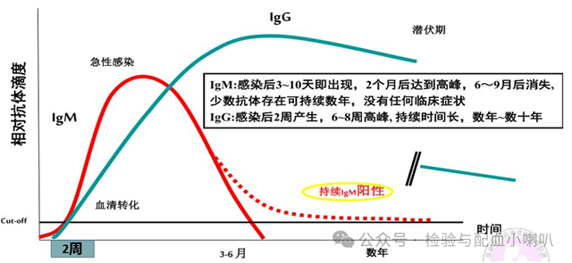 微信圖片_20241211102642.png