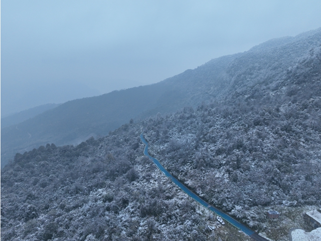 實(shí)拍屏山雪景！直播間連夜搬到山上！
