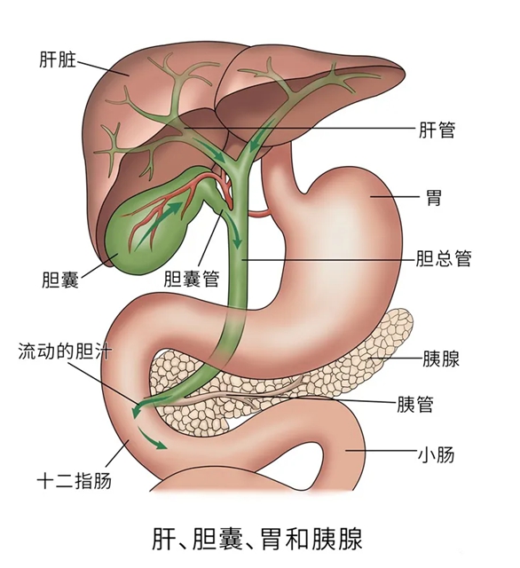 護(hù)士3.jpg