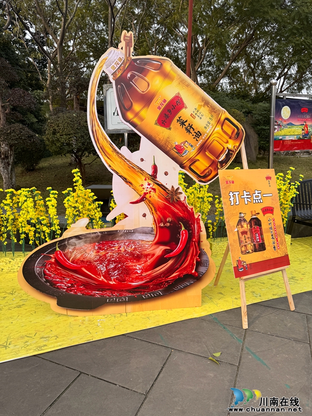 金龍魚3.jpg