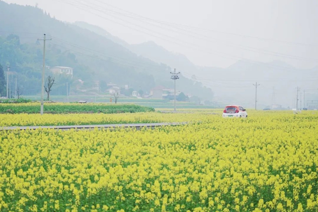 今天起！宜賓市高縣這段路要交通管制