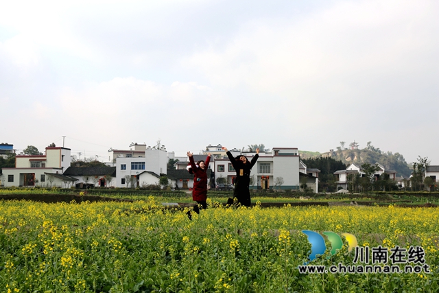 市民在油菜花海里嬉戲游玩（曾佐然攝）.JPG