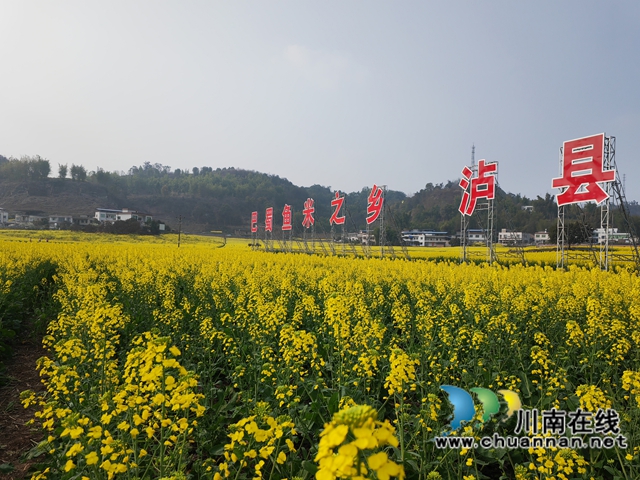 花海（曾佐然攝）.jpg