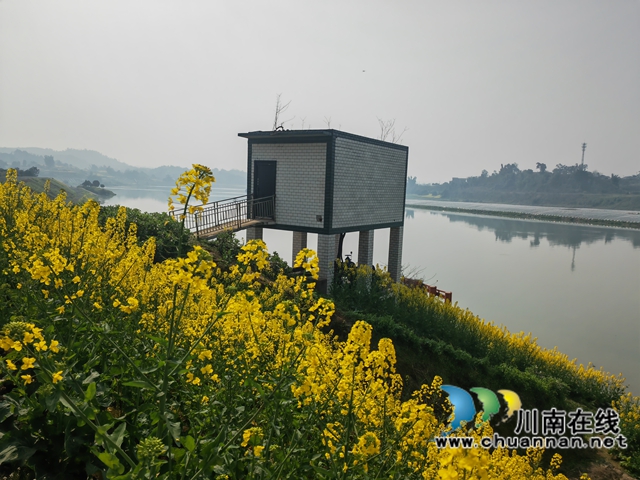 海潮鎮(zhèn)沱江邊的提灌站開足馬力供水（曾佐然攝）.jpg