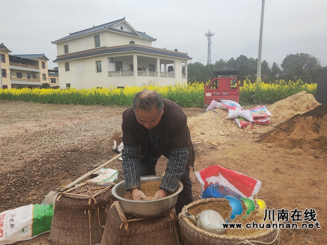 拌種（曾佐然攝）.jpg