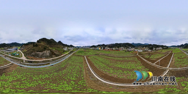 古藺茅溪：漂浮育苗技術助力萬畝高粱穩(wěn)產(chǎn)豐收