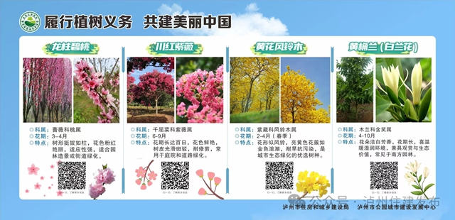 樹(shù)2.jpg