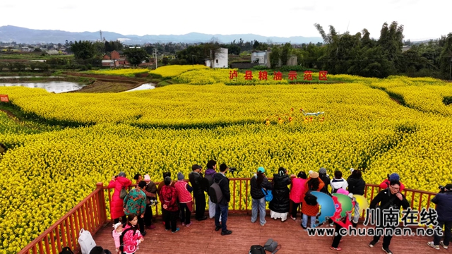 錦江攝影家協(xié)會(huì)會(huì)員在方洞鎮(zhèn)油菜花海中拍攝舞龍（.jpg