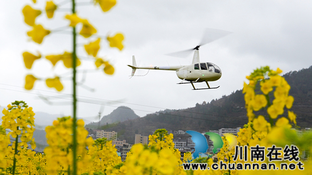 強勢出圈！古藺白沙場鎮(zhèn)菜花文化旅游開放月正式啟幕