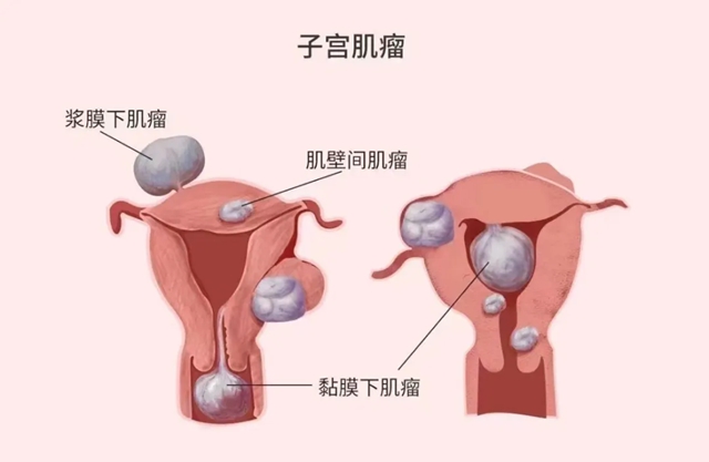 ２.jpg