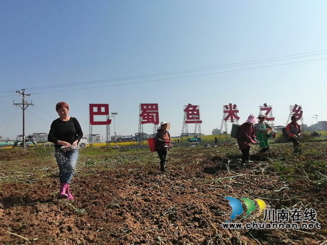 瀘縣：“蜀我·會找活”，化解春耕煩心事