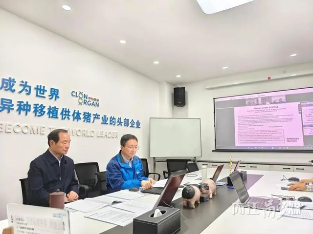 國(guó)際首個(gè)！內(nèi)江“豬豬俠”立了大功