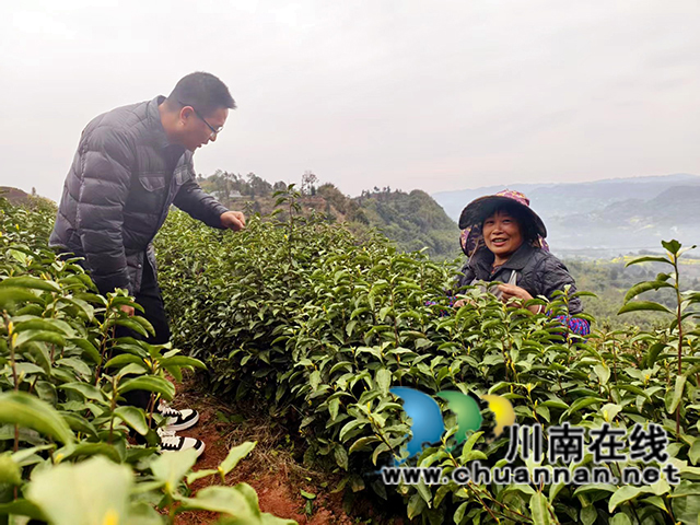 圖2：游飛（左）向村民了解采茶增收情況.jpg