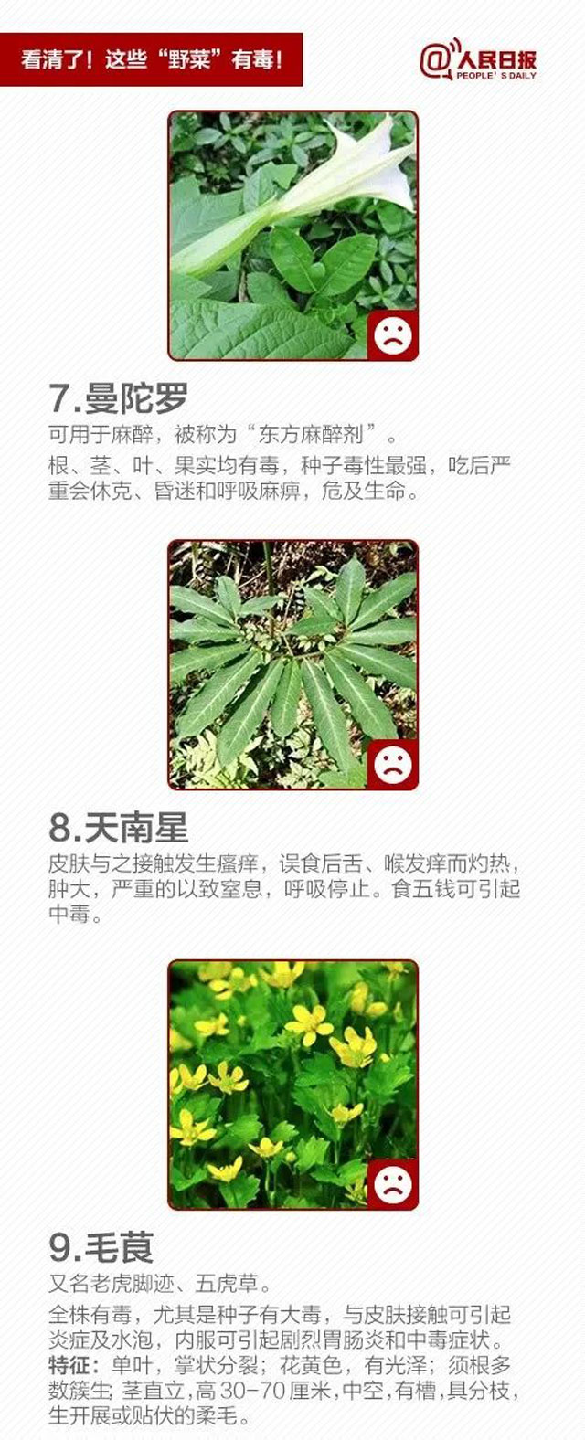 10005-(3).jpg