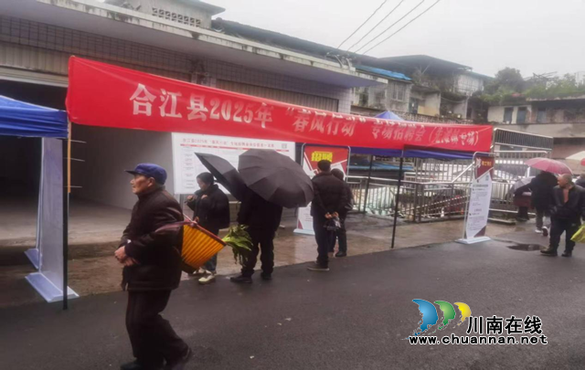 合江縣：人大代表履職盡責(zé)架橋梁，春風(fēng)送崗惠民生