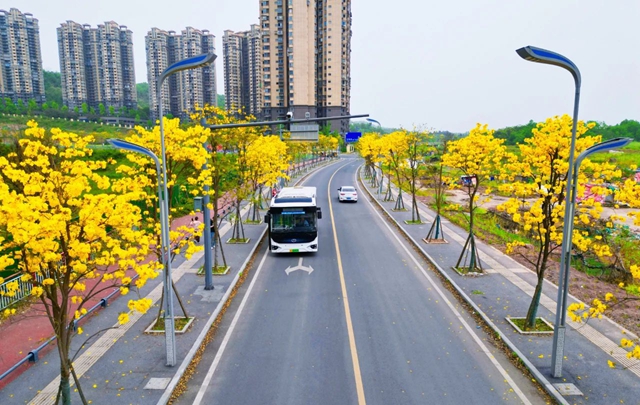 黃花2.jpg