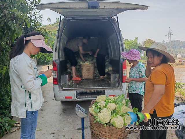 收購蔬菜（曾佐然攝）.jpg