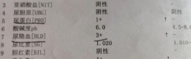 66.png