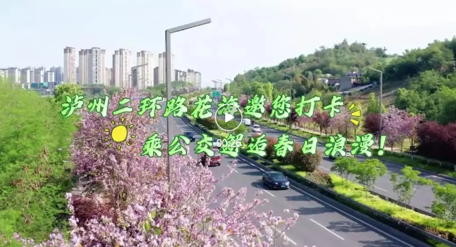 瀘州二環(huán)路花海邀您打卡，乘公交邂逅春日浪漫！