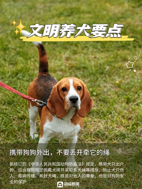 狗6.jpg